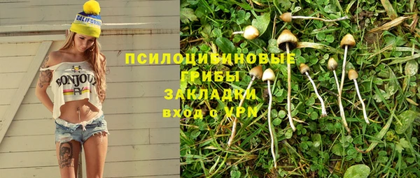 бошки Алексин