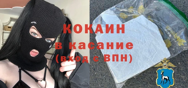 бошки Алексин